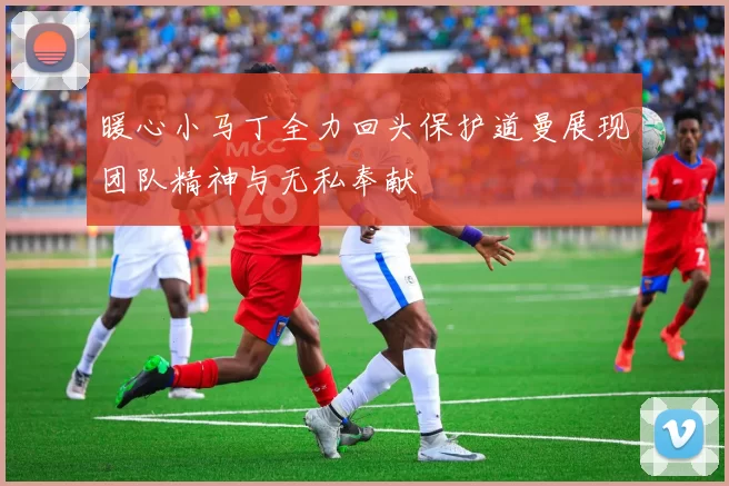 暖心小马丁全力回头保护道曼展现团队精神与无私奉献