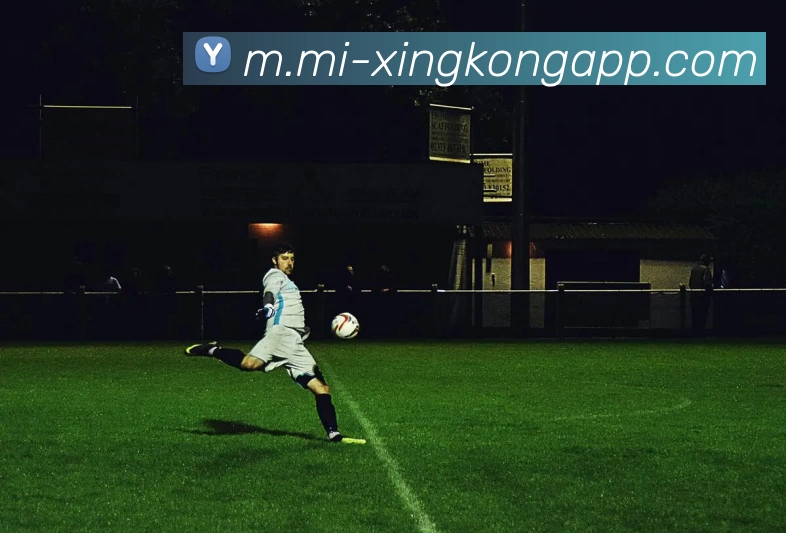 星空体育全站App